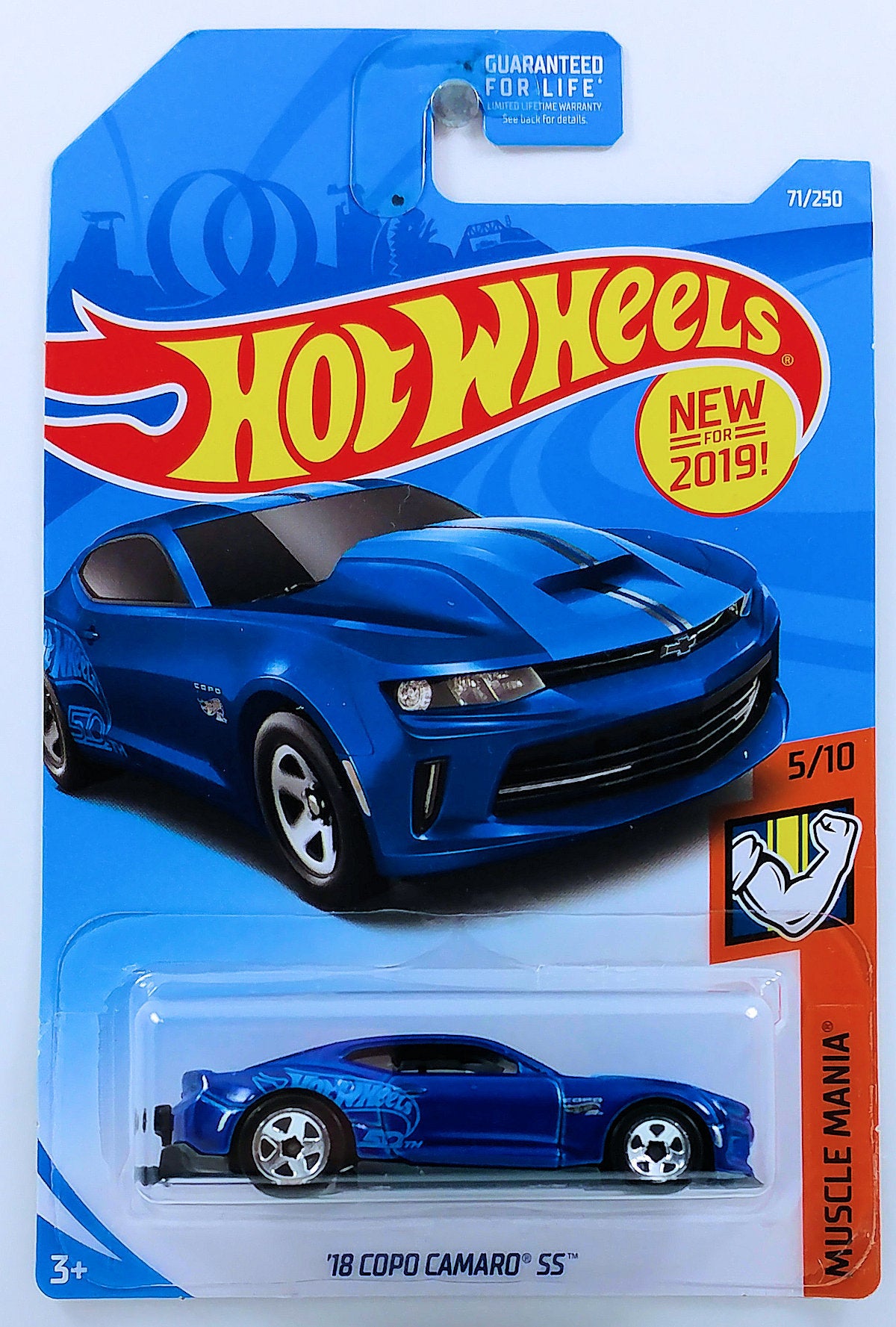 Hot Wheels 2019 - Collector # 071/250 - Muscle Mania 5/10 - New Models - '18 COPO Camaro SS - Blue - USA